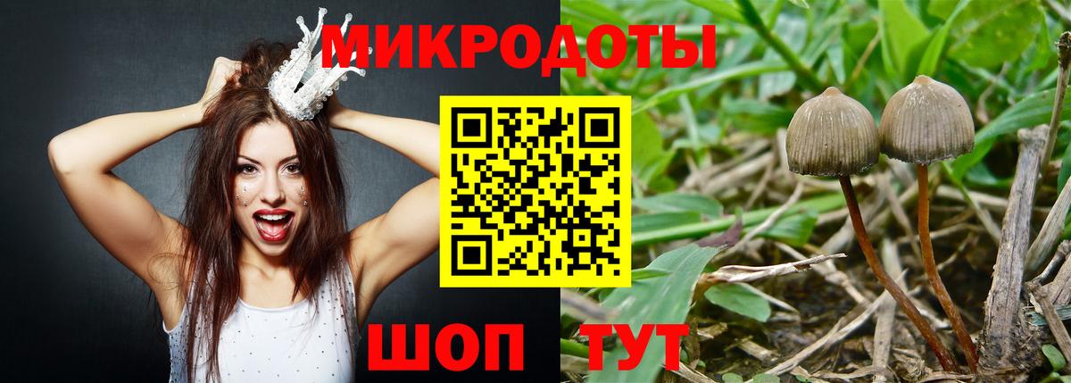 Псилоцибиновые грибы Magic Shrooms Кашира